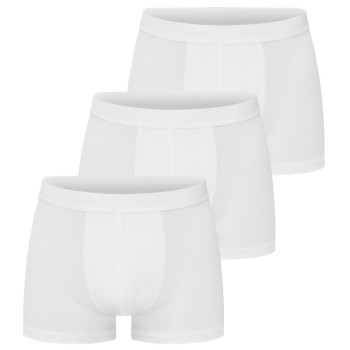 Bread and Boxers Trunks 3-pack
