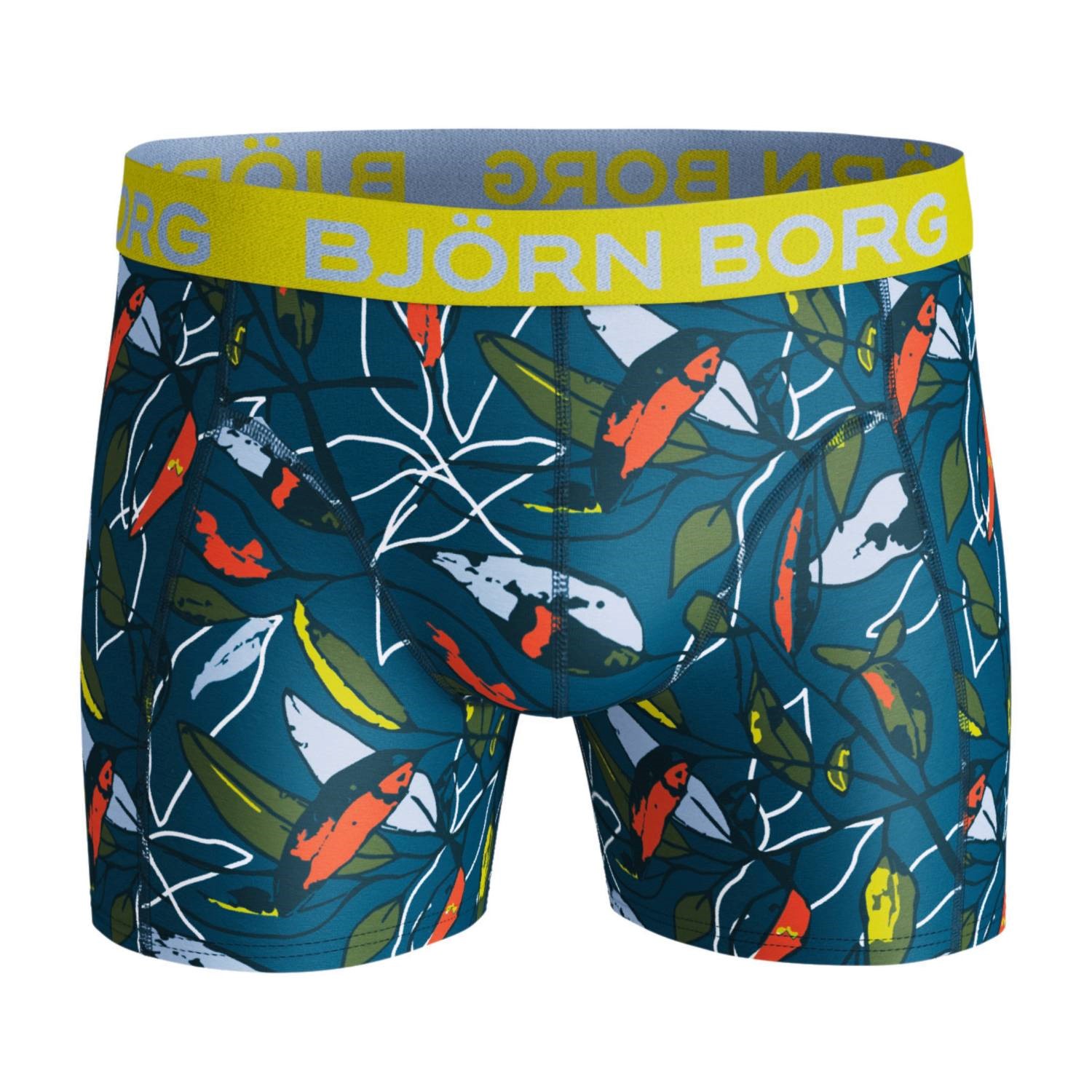 Björn Borg Lightweight Microfiber Greenery Shorts