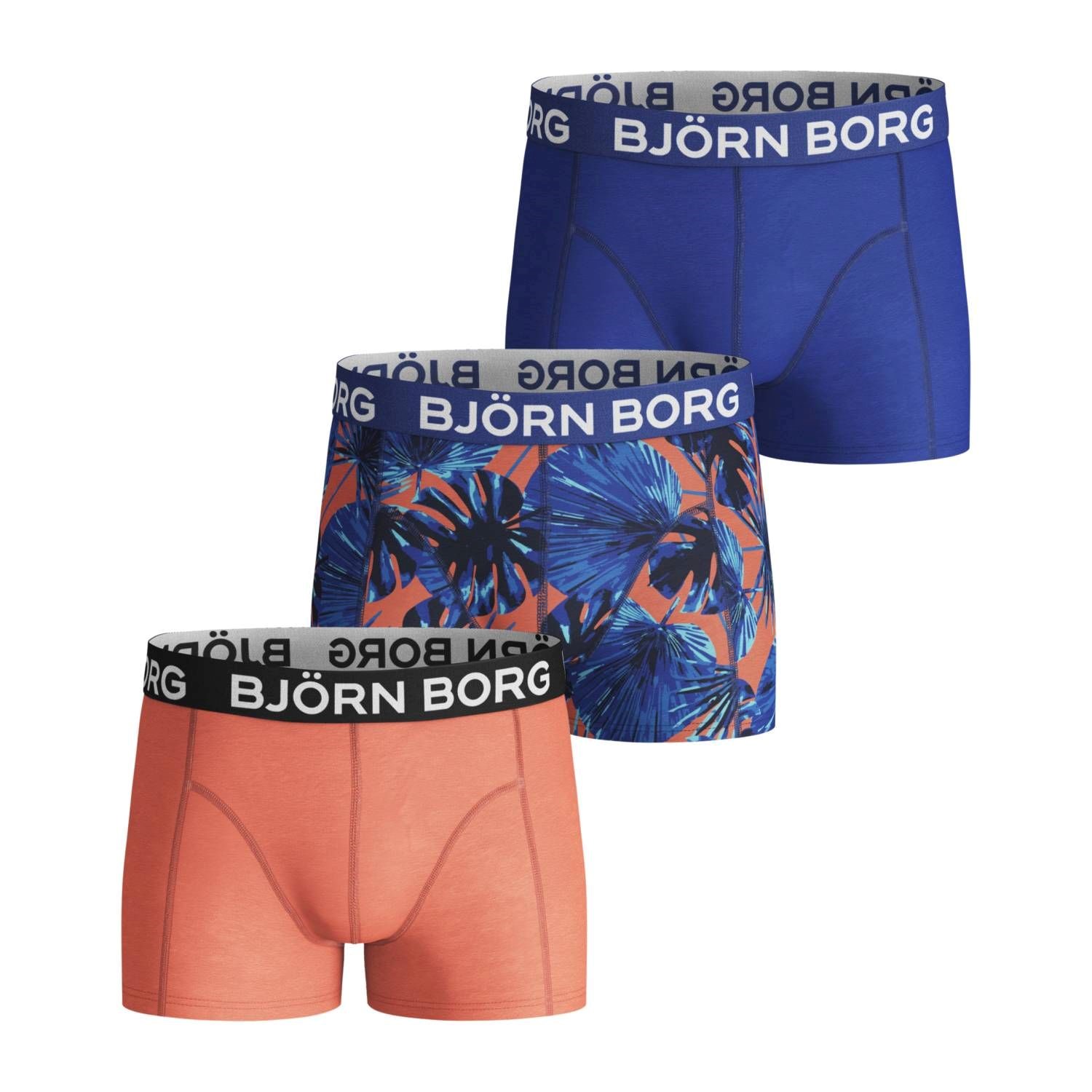 Björn Borg Garden Shorts For Boys 1302