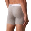 Flerfärgad