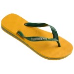 Havaianas Brasil Logo