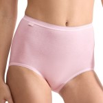 4-Pack Sloggi Basic Plus Maxi Panty