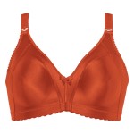 Naturana Heritage Minimizer Soft Bra