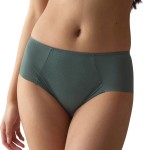 Triumph Essential Minimizer T Hipster X