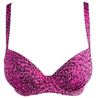 Triumph 4 Your Style 13 pt CTOWP Triumph 4 Your Style 13 pt CTOWP