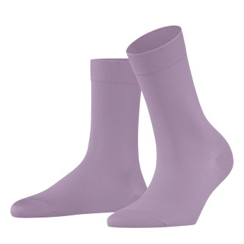 3-Pack Falke Women Cotton Touch