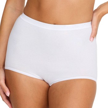 Damella Classic Cotton Maxi Brief