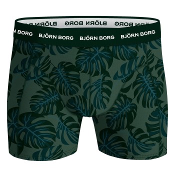 Björn Borg Essential Shorts