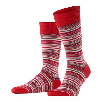 Falke Microblock Socks