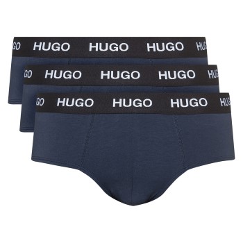 Hugo Triplet Brief 
