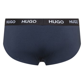 Hugo Triplet Brief 