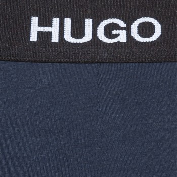 Hugo Triplet Brief 