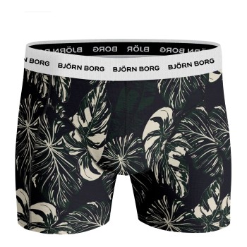 Björn Borg Essential Shorts 2113