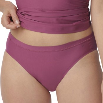 Triumph Smart Micro Tai