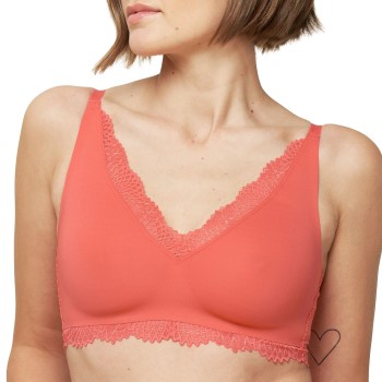 Triumph Summer Sensation N01