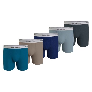 5-Pack Calvin Klein Stretch Boxer Briefs