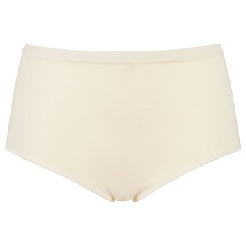 Damella High Waist Maxi Brief