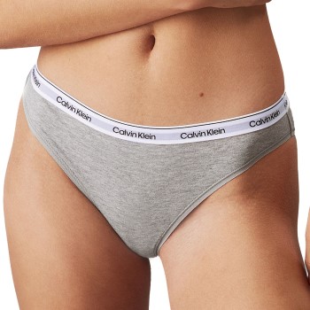 5-Pack Calvin Klein Modern Logo Bikini Briefs