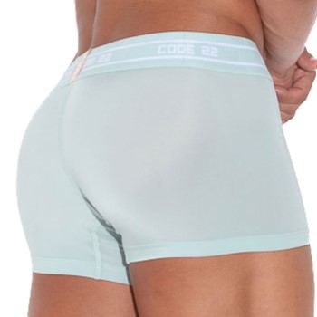 Code 22 Secret Garden Trunk