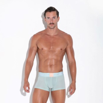 Code 22 Secret Garden Trunk
