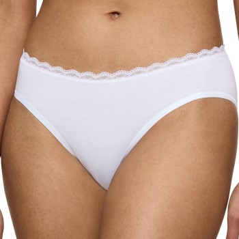 Triumph Feel Of Cotton Tai