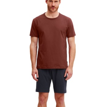 Calida Relax Essentials Short Pyjamas