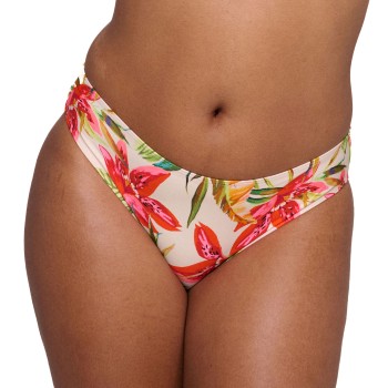 PrimaDonna Tanzania Bikini Rio Briefs