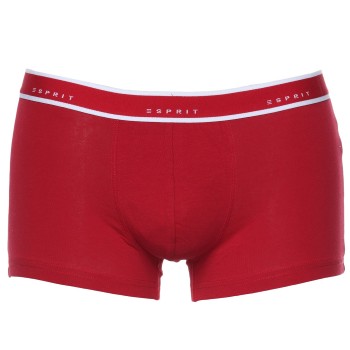 3-Pack Esprit Gilbert Hipster Shorts   