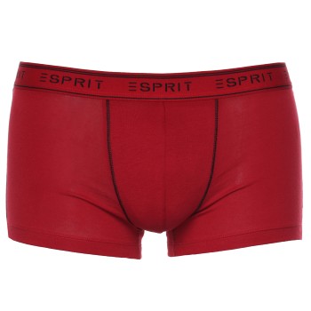 3-Pack Esprit Cole Hipster Shorts  