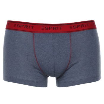 3-Pack Esprit Cole Hipster Shorts  