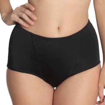 Sassa Basic Control Shaping Brief
