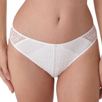Sassa Happy Choice Brief