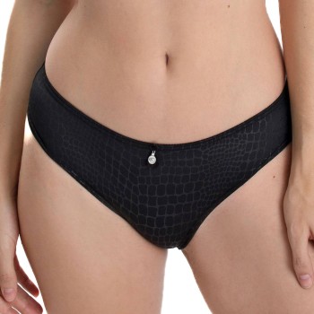 Sassa Pure Animal Brief
