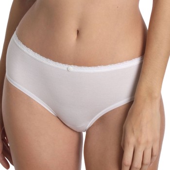 Sassa Stripe Range Brief