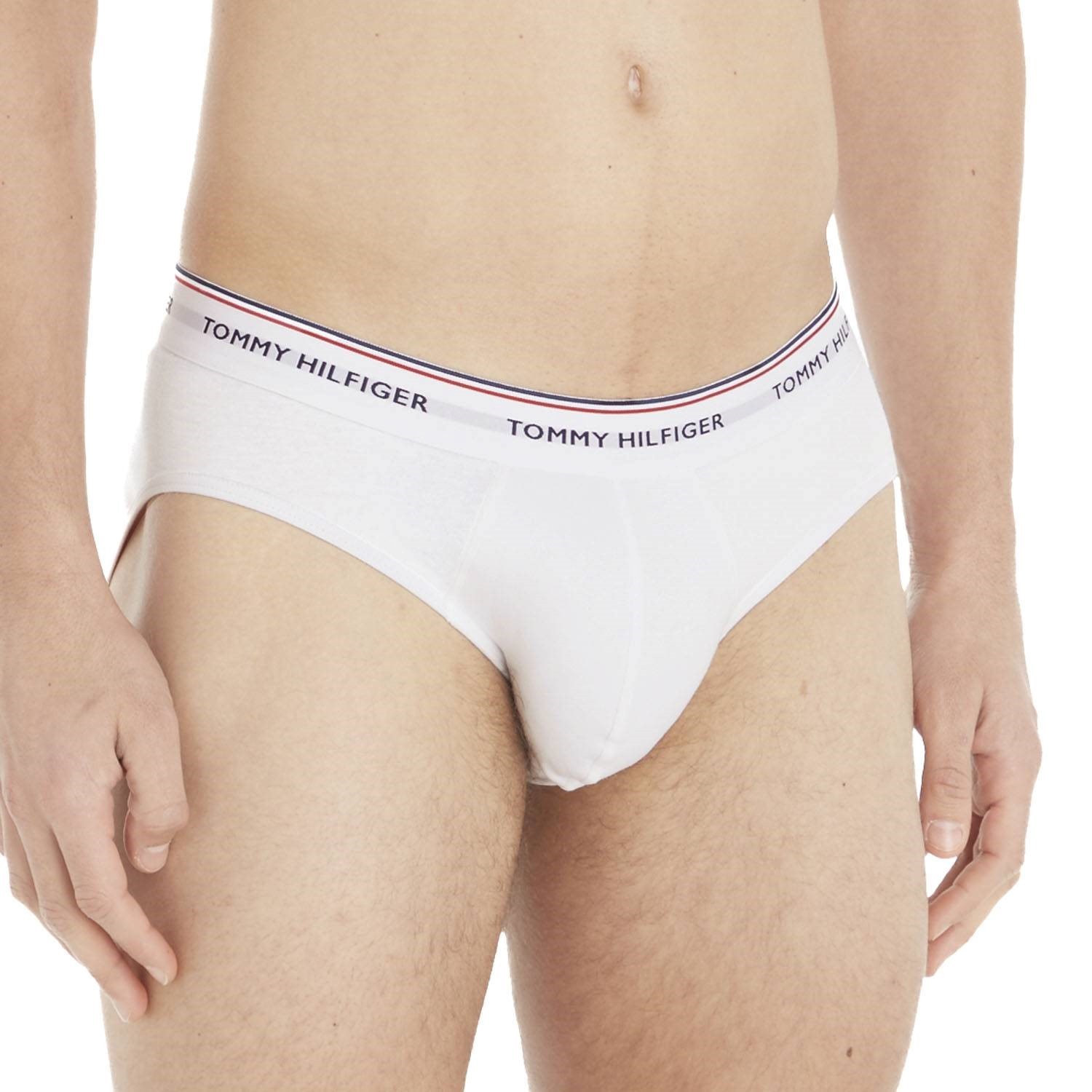 Tommy Hilfiger Premium Essentials Brief