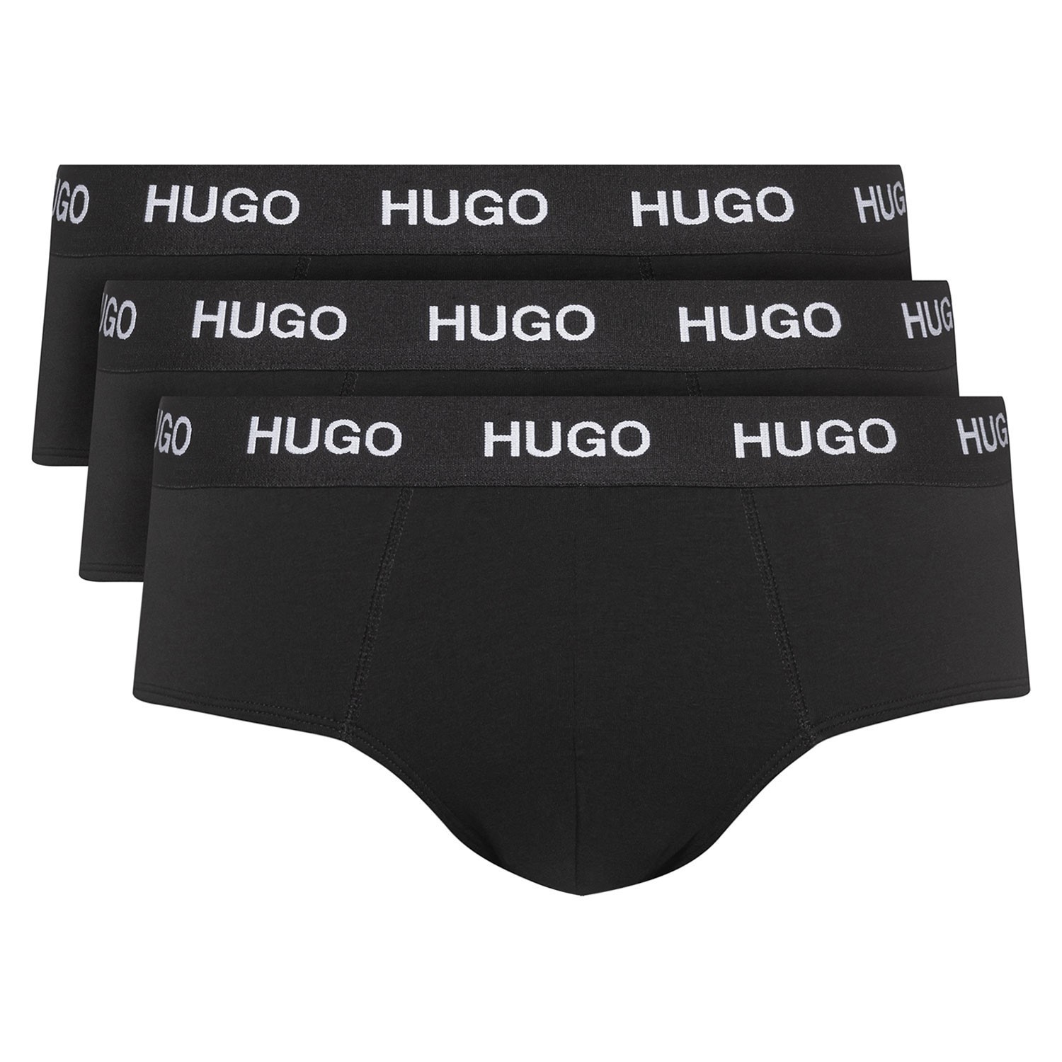 Hugo Triplet Brief 