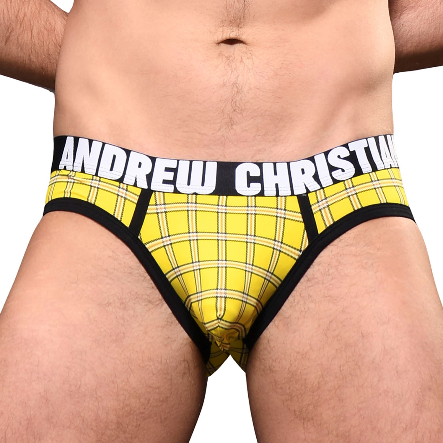 Andrew Christian Almost Naked Plaid Brief  