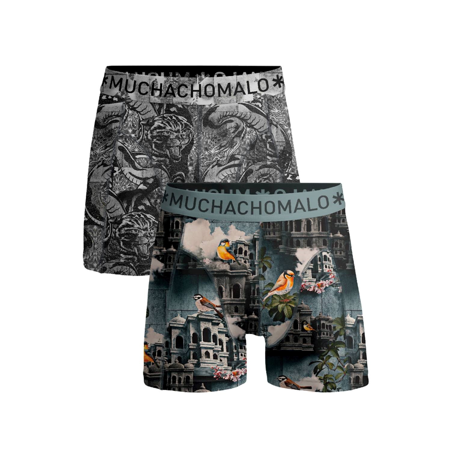 Muchachomalo Istanbul Boxer 