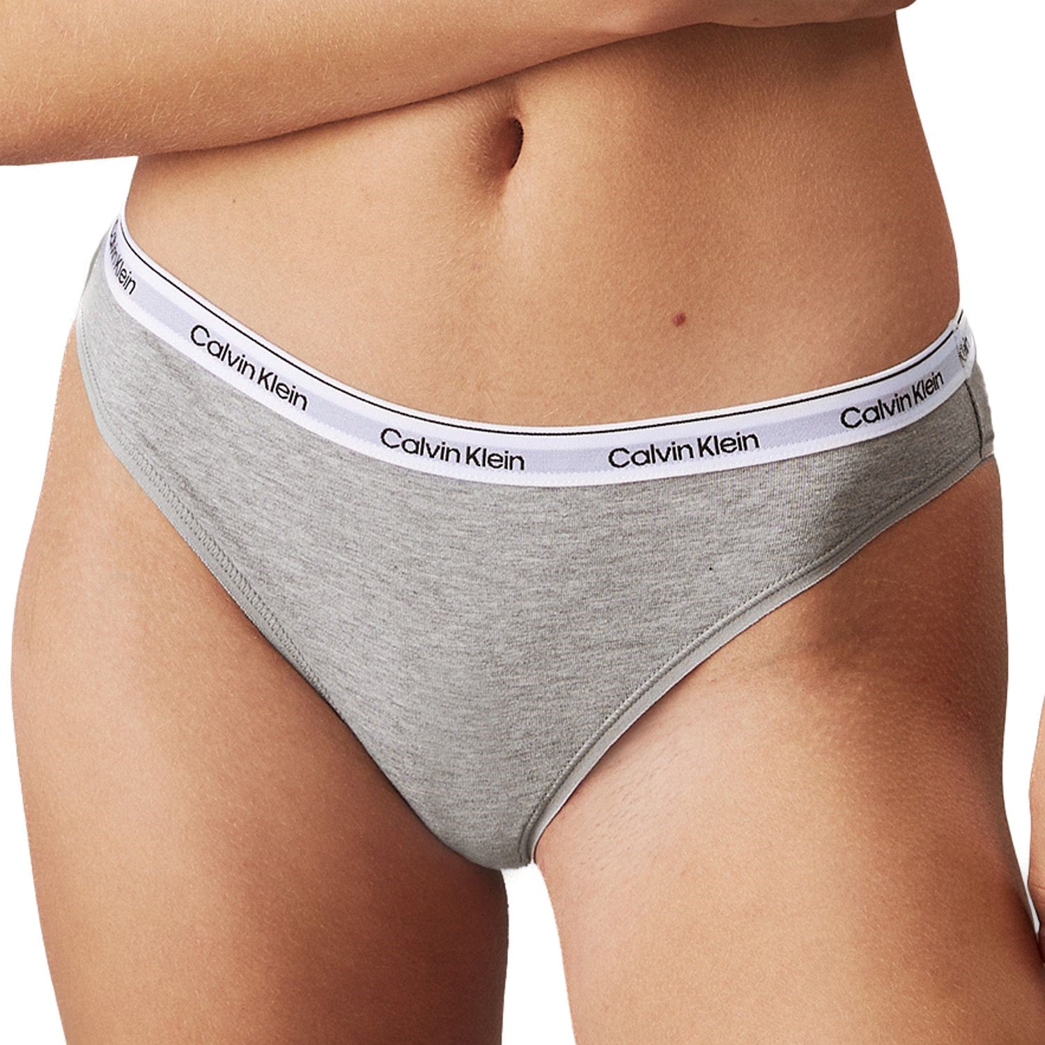 Calvin Klein Modern Logo Bikini Briefs